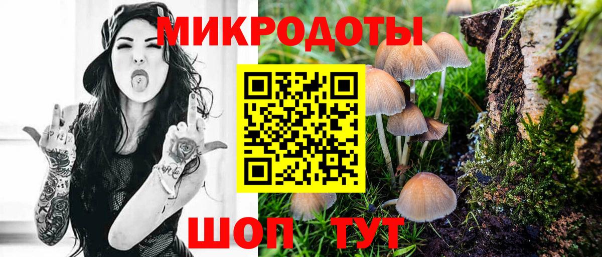 Псилоцибиновые грибы Psilocybine cubensis Калуга
