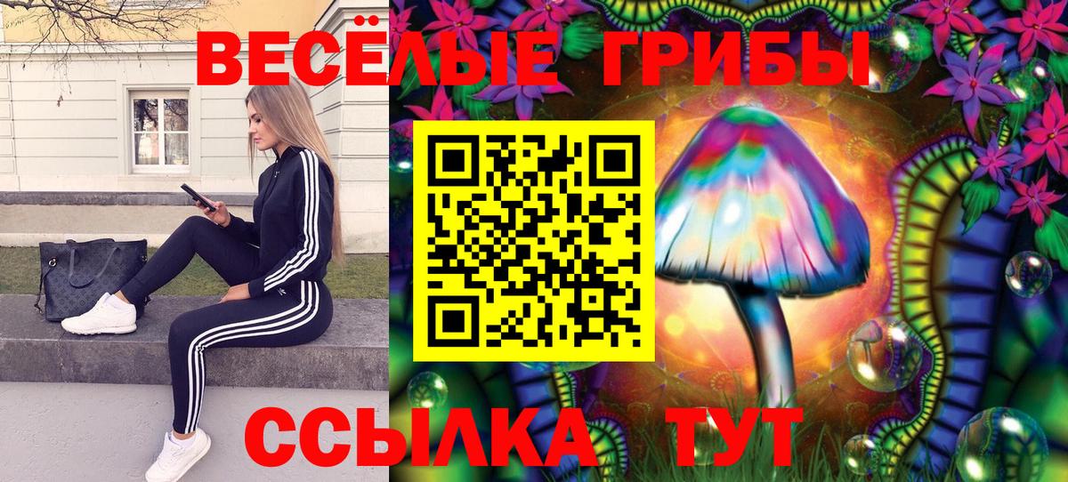 Галлюциногенные грибы GOLDEN TEACHER  Вход с VPN  Калуга 